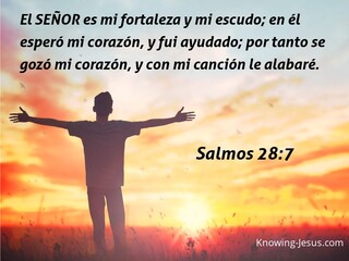 Salmos 28:7 la fortaleza (plata)